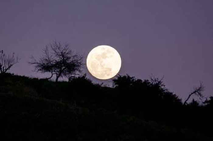Strawberry moon: When you'll be able to see it