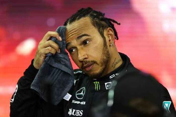 Christian Horner claims Lewis Hamilton told to BITCH about back pain by Mercedes