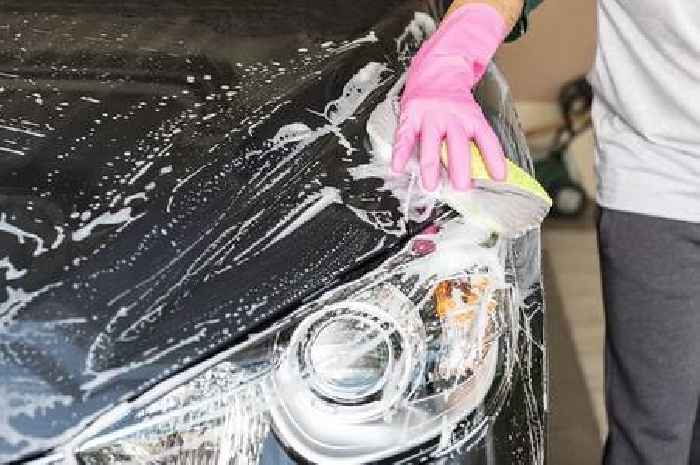 Best ways to remove tree sap, bird droppings and blossom from your car before they cause damage