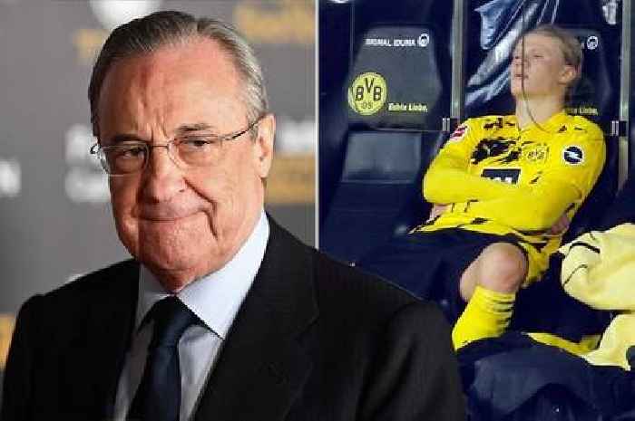 Real Madrid president claims Erling Haaland would 