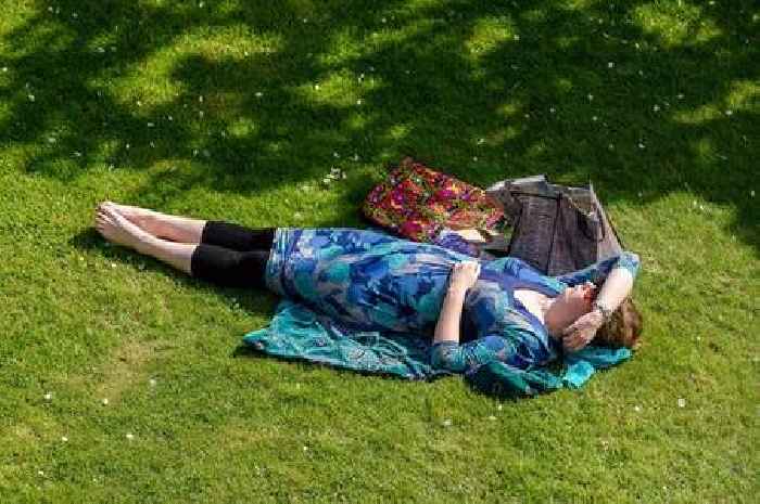 Met Office hour-by-hour forecast for Somerset on hottest day of year so far