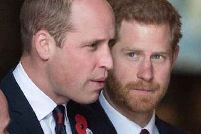 Prince William feels Harry 'crossed line' and been 'sucked into alien world', friend says