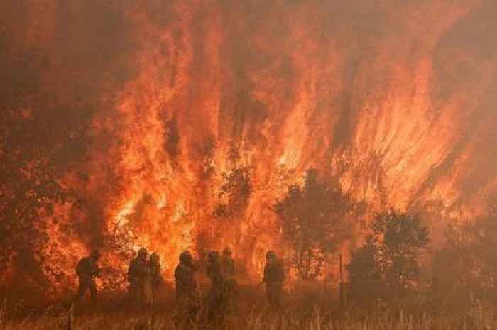 Firefighters in Spain tackle huge wildfires as temperatures soar above 40C