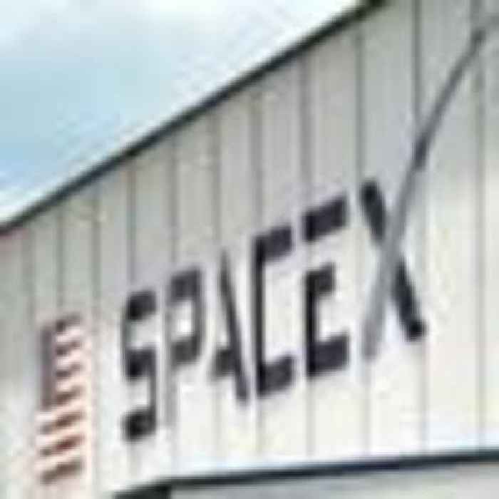 SpaceX reportedly fires employees critical of CEO Elon Musk