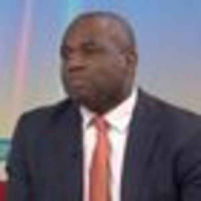 Labour's David Lammy to be investigated by Commons watchdog