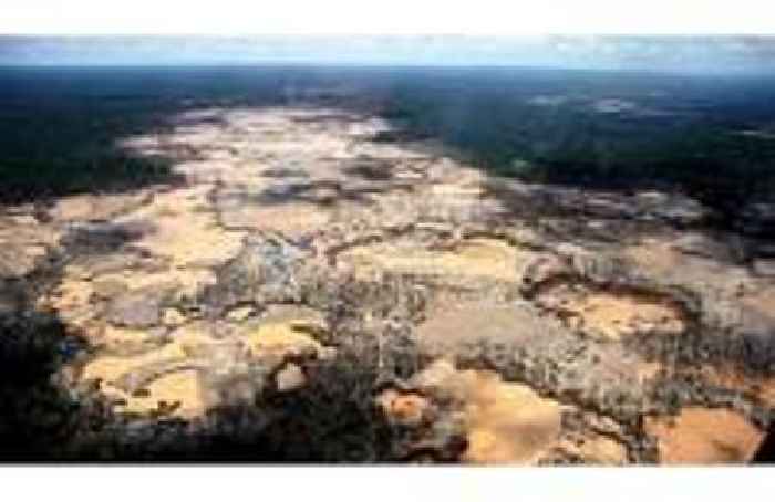 Phillips and Pereira: killed trying to save the Amazon