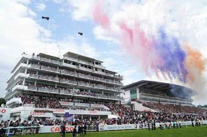 Epsom Derby 2022: Tree damaged, no toilet paper, and fireworks controversy