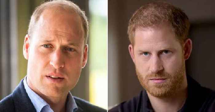Prince William & Prince Harry 'Were Never Very Good Friends' Even Before Their Recent Fallout, States Author
