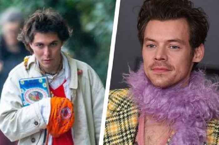 Harry Styles' stalker admits break-in at his home - but denies assault on woman and damaging plant pot