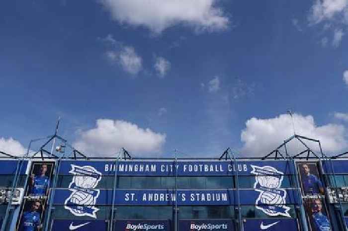 'Pregnant pause' - The state of play with Birmingham City's transfers after Championship fixtures reveal