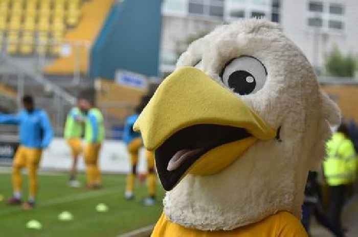 In Nick We Trust - The Torquay United Yellow Army Podcast meets the fan who got involved
