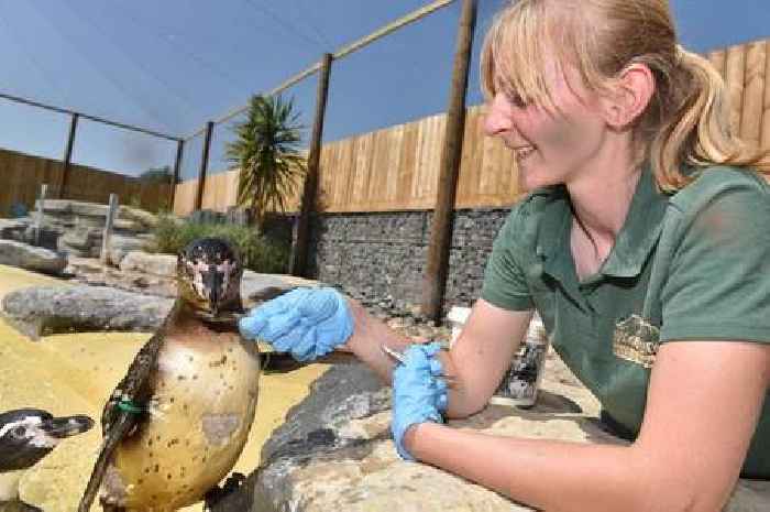 New animal cages to be installed at Woodside Wildlife Park