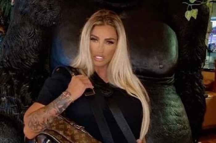 Katie Price boasts about being 'so busy' in TV career announcement after avoiding prison