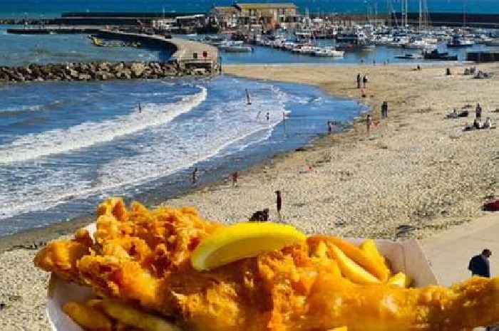 The best fish and chips by the sea ever