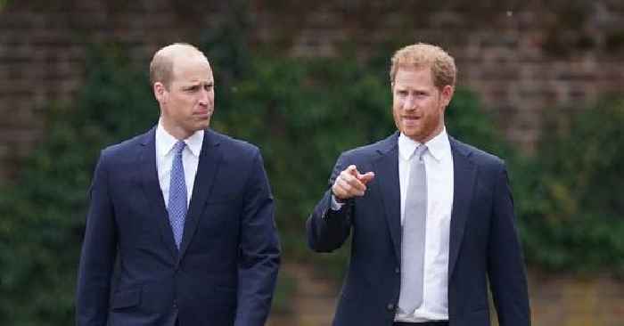 Prince William Thinks Prince Harry Is 'Out Of His Mind For Writing A Book On The Royal Family,' Insider Dishes