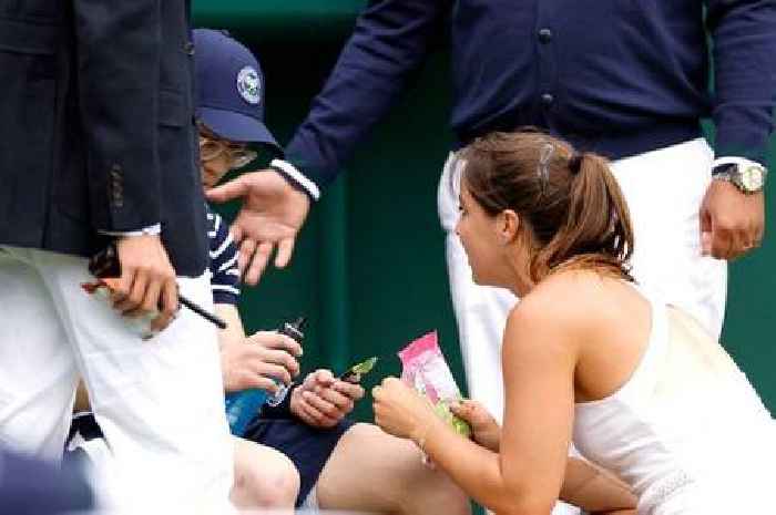 Wimbledon match halted as Brit star helps unwell ball boy with fan's Percy Pigs