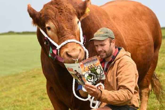 Bull named 'Doctor Octopus' will be going for glory at the 2022 Devon County Show