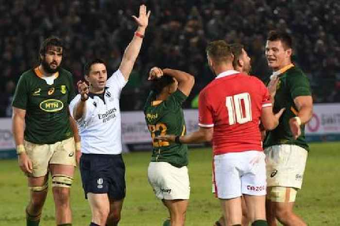Everything that happened as South Africa v 12-man Wales descended into utter chaos in final 15 minutes