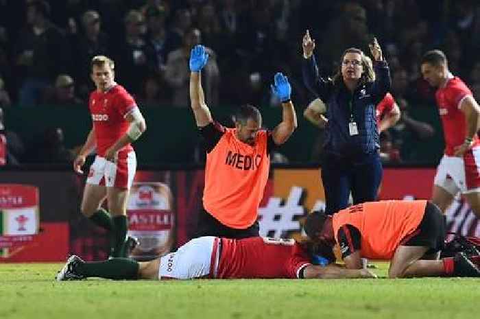 South Africa v Wales match halted for seven minutes amid concerning scenes