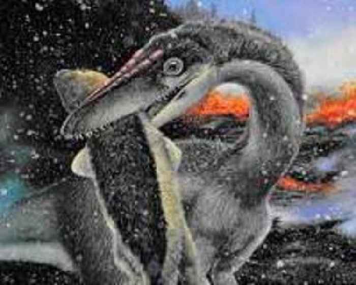 Dinosaurs took over amid ice, not warmth, says a new study of ancient mass extinction