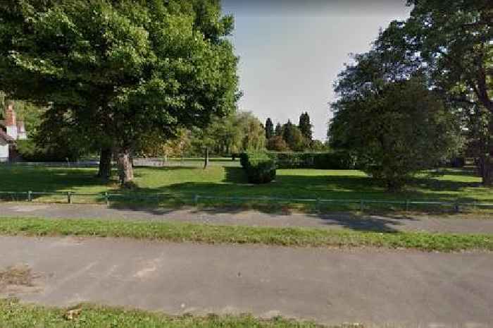 Youths hiding in bush arrested as teenager fights for life following city park stabbing