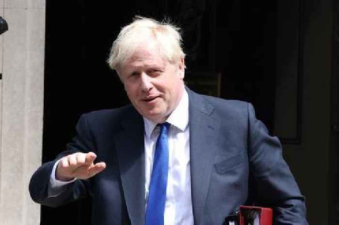 Rate the Prime Minister contenders as Boris Johnson fights for survival