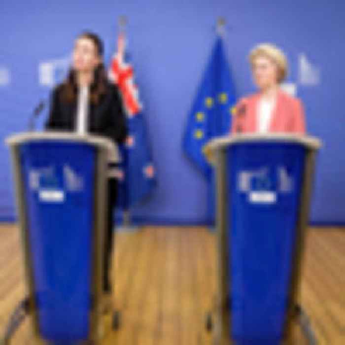 It was now or never for NZ-EU trade deal, negotiator says