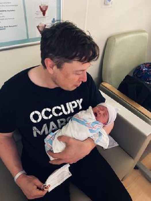 Elon Musk and Neuralink Top Executive Welcomed Twins Before Second Child With Grimes