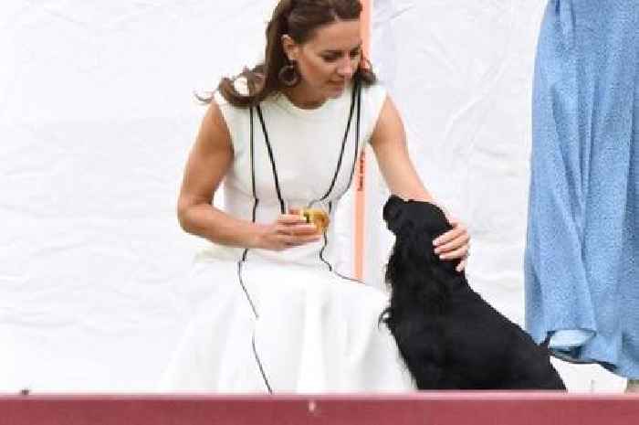 Kate Middleton 'coordinates' her outfit with royal dog Orla while supporting Prince William in adorable snaps