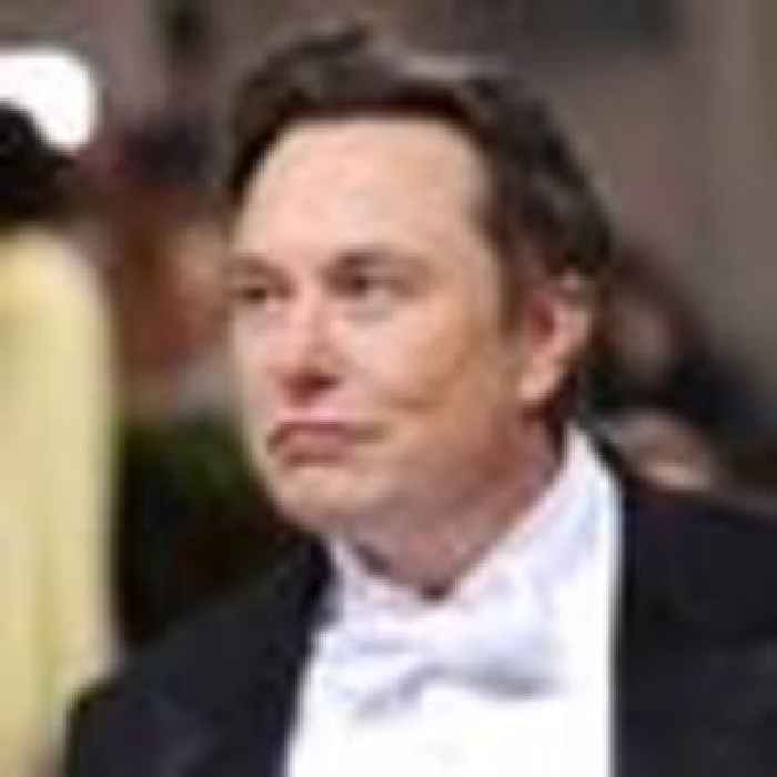 Elon Musk fathered twins with one of his top executives last year, report says