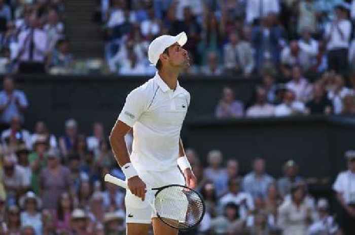 Novak Djokovic booed by Wimbledon crowd after blowing kisses to a fan in victory over Cameron Norrie