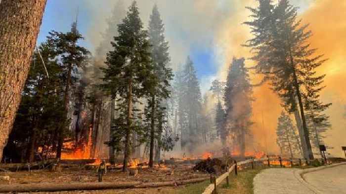 Yosemite Wildfire Threatens Grove Of Iconic Sequoia Trees