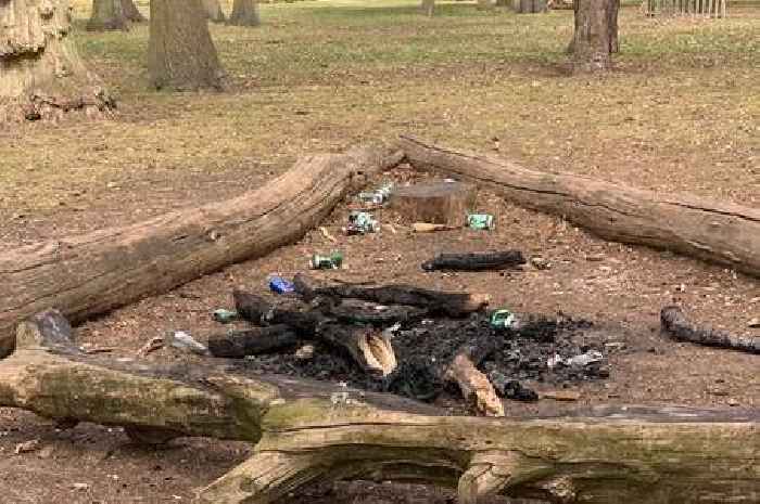 Barbecue warning at Bushy Park and Richmond Park after lizards killed in fire