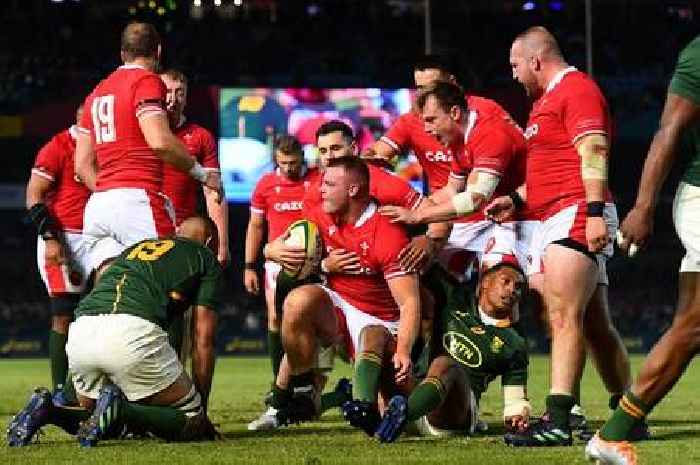 Wales v South Africa Live: Kick-off time, TV channel and latest match updates