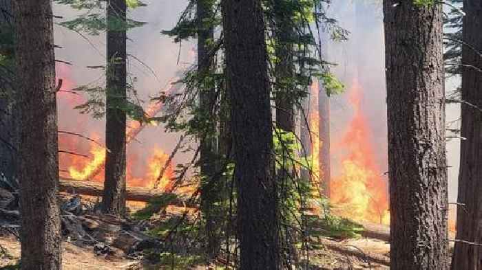 Yosemite Fire Grows As Crews Protect Iconic Sequoias