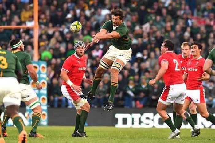Tonight's rugby news as Springboks coach warns enforcer losing to Wales will 'haunt him for the rest of his life'