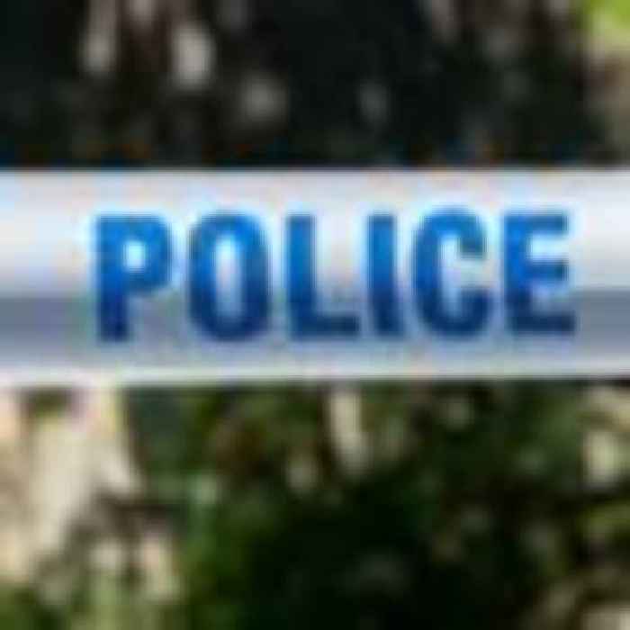 Woman dies and man suffers 'life-altering' injury after dog attack