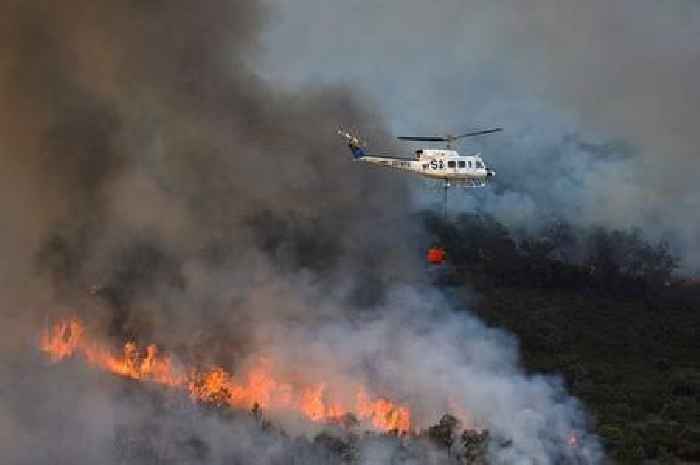 Wildfires scorch France and Spain as heatwave-related deaths soar