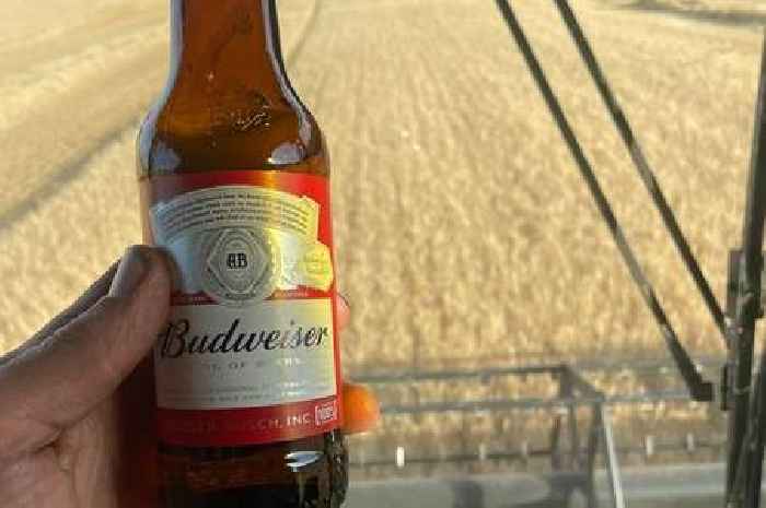 England rugby star turned farmer enjoys Budweiser as he drives combine harvester