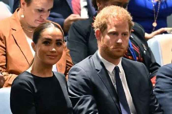 Prince Harry riddled with 'tension and anxiety' at UN with Meghan, body language expert says