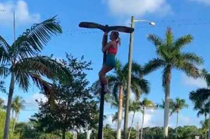 Ex-UFC star Paige VanZant climbs pole in tiny top after 'taking too much pre-workout'