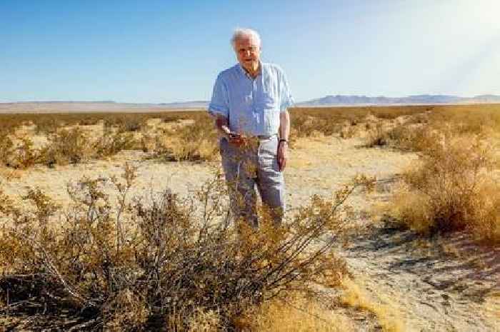 Fossil of 'first animal predator' named after Sir David Attenborough