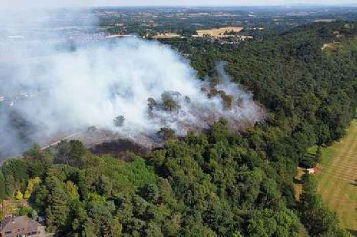 Huge fire at Lickey Hills beauty spot 'likely caused by picnickers'