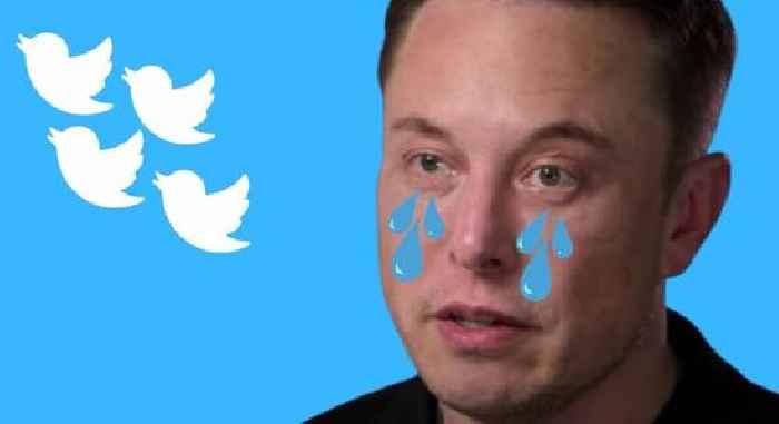 Twitter’s beef with Musk is hurting shareholders — and a court case won’t solve that