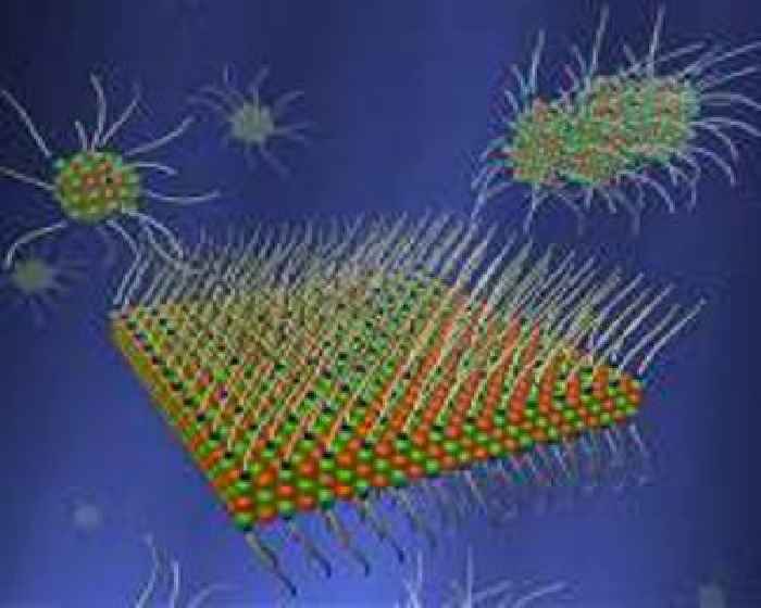Boost for nanomaterials research - solar cells and LEDs