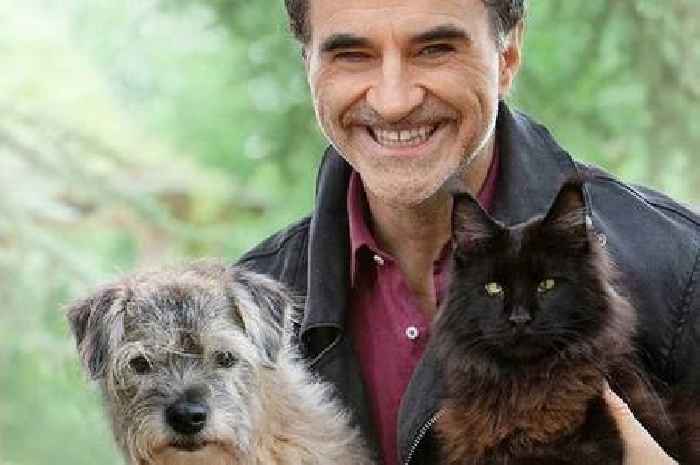 Channel 4's Supervet Noel Fitzpatrick: pet tragedy, Surrey doctorate and children's book