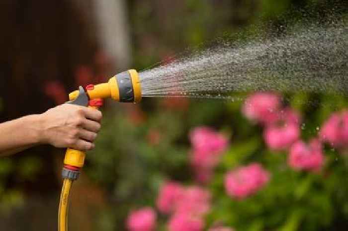 Hosepipe ban rules and fines if restrictions are extended to Surrey