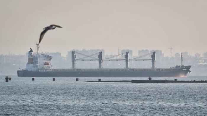 3 More Ships With Grain Depart Ukraine Ports Under U.N. Deal