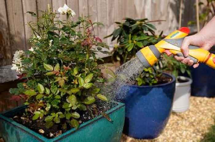How much can you be fined during a hosepipe ban and what can't you do?