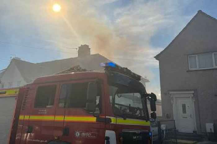 Firefighters battle 100m grass fire in field behind Southmead homes
